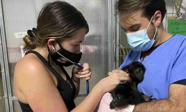 Alajuela Wildlife Rescue Center