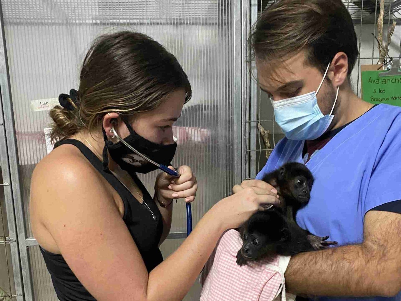 Alajuela Wildlife Rescue Center