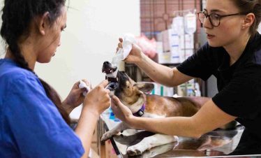 Phnom Penh Clinic & Community Outreach