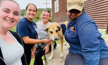 Safari4u Vet Experience Internship