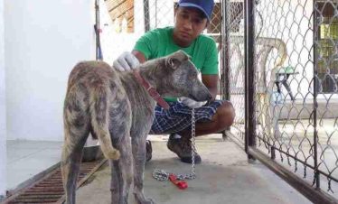 Aklan Rescue & Rehabilitation Center