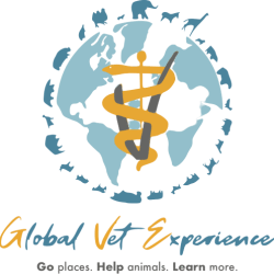 cropped Global_Vet_Experience_Logo__Tagline__new2_ removebg preview